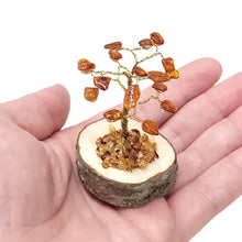 DA105 Drzewko szczęścia